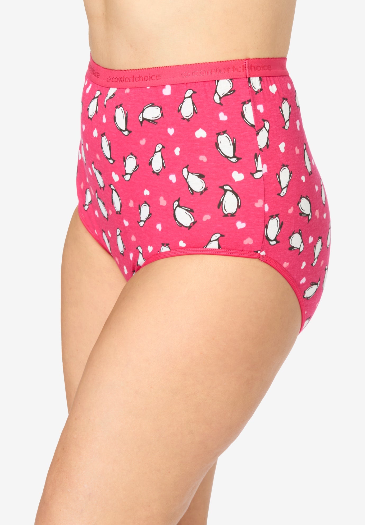 Full Coverage Cotton Brief 10-Pack image number 3