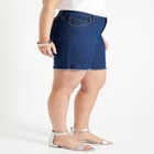 Raw Hem Curvie Fit Denim Shorts image number null