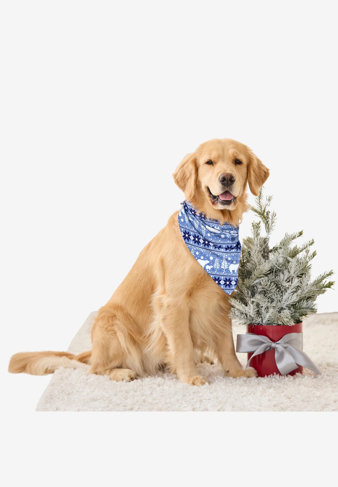 Pet Scarf image number 0