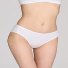 The Brief- Cotton image number null